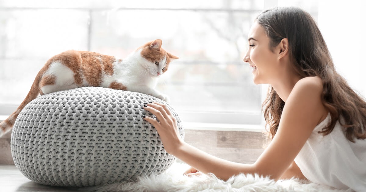 9 Signs Your Cat Likes You Plus How to Build Your Bond!